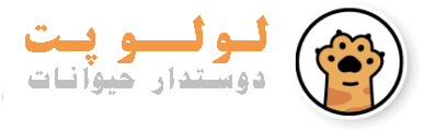 لـولـو پـت