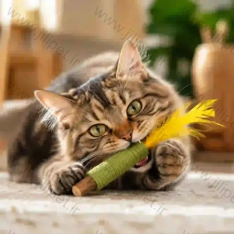 چوب جویدنی گربه Cat Stick - تصویر دوم